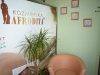 Certifikati